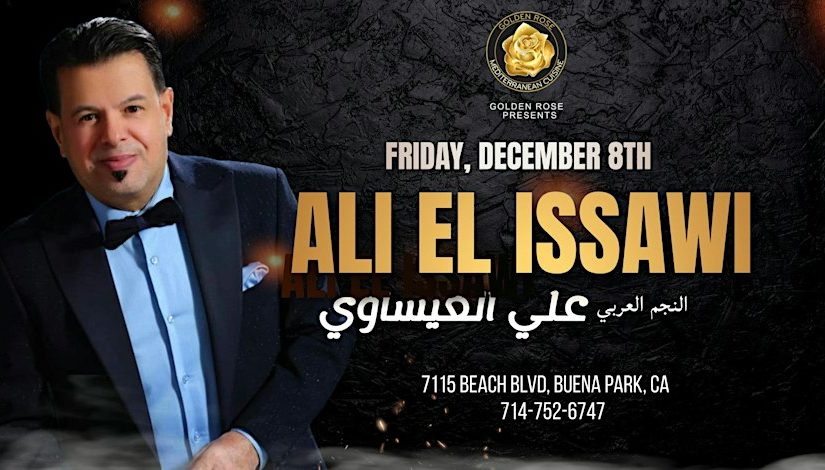 ALI EL ISSAWI CONCERT